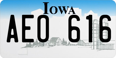 IA license plate AEO616