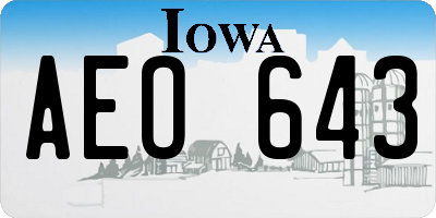 IA license plate AEO643