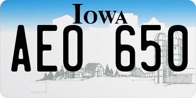 IA license plate AEO650