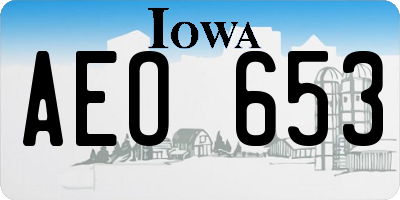 IA license plate AEO653
