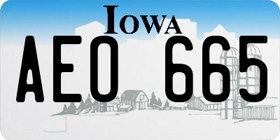 IA license plate AEO665