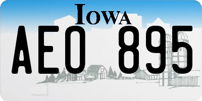 IA license plate AEO895