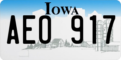 IA license plate AEO917