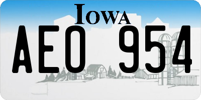 IA license plate AEO954