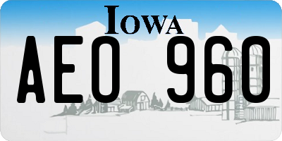 IA license plate AEO960