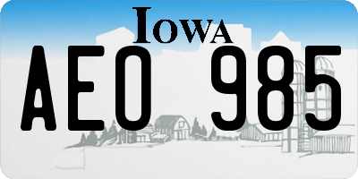 IA license plate AEO985