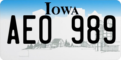 IA license plate AEO989