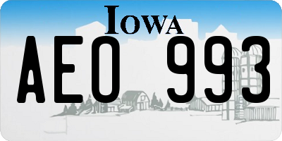 IA license plate AEO993