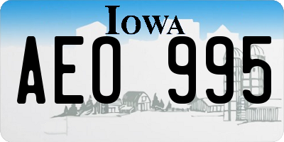 IA license plate AEO995