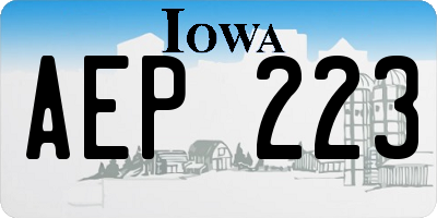 IA license plate AEP223