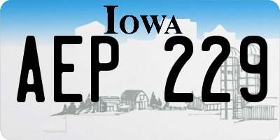 IA license plate AEP229