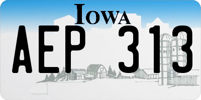 IA license plate AEP313