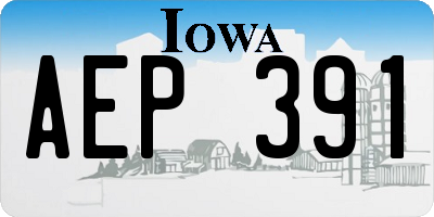 IA license plate AEP391
