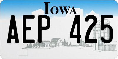 IA license plate AEP425