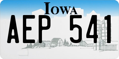 IA license plate AEP541