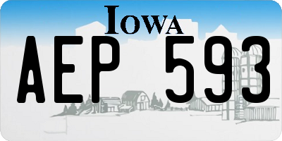 IA license plate AEP593