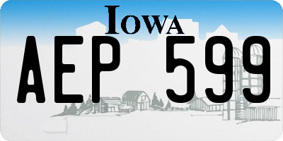 IA license plate AEP599