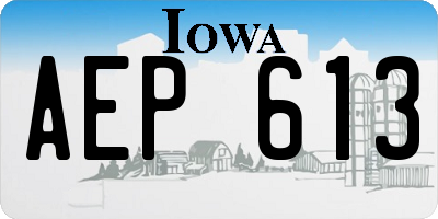 IA license plate AEP613