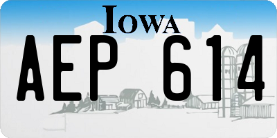 IA license plate AEP614
