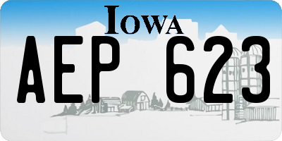 IA license plate AEP623
