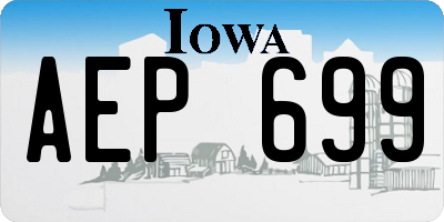 IA license plate AEP699