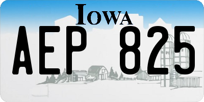 IA license plate AEP825