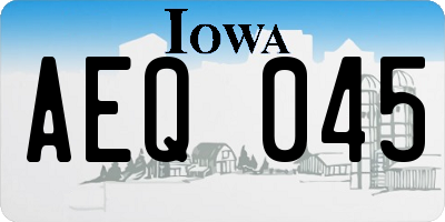 IA license plate AEQ045