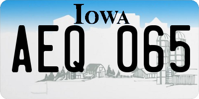 IA license plate AEQ065