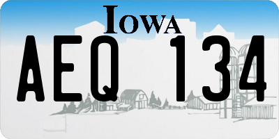 IA license plate AEQ134