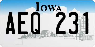 IA license plate AEQ231