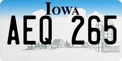 IA license plate AEQ265