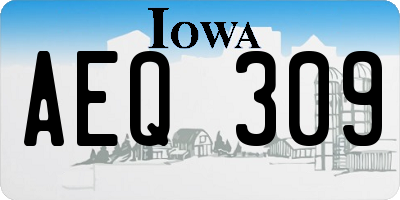 IA license plate AEQ309