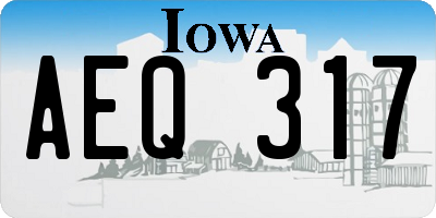 IA license plate AEQ317