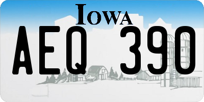 IA license plate AEQ390