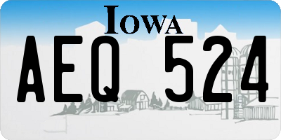 IA license plate AEQ524