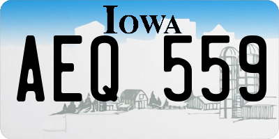 IA license plate AEQ559