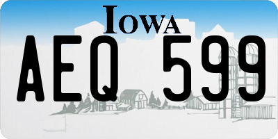 IA license plate AEQ599