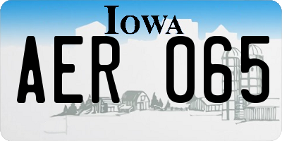 IA license plate AER065