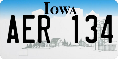 IA license plate AER134