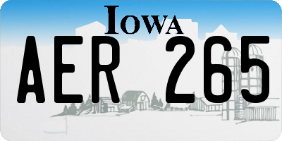 IA license plate AER265