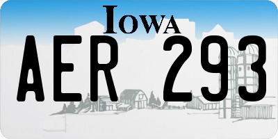 IA license plate AER293