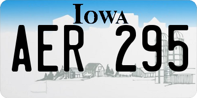 IA license plate AER295