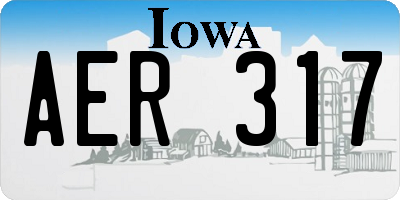 IA license plate AER317