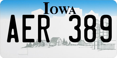 IA license plate AER389