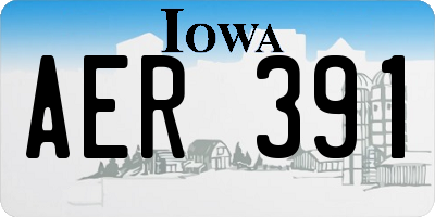 IA license plate AER391