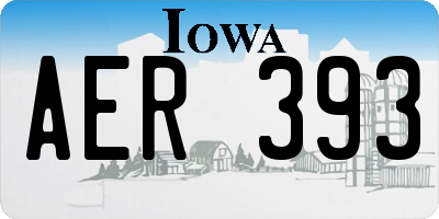 IA license plate AER393