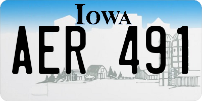 IA license plate AER491