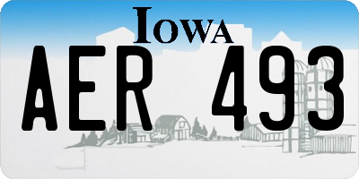 IA license plate AER493