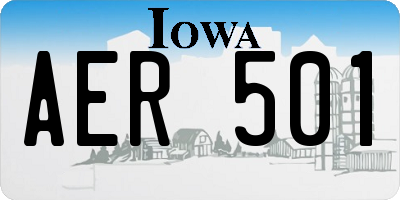 IA license plate AER501