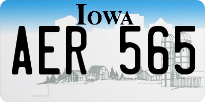 IA license plate AER565